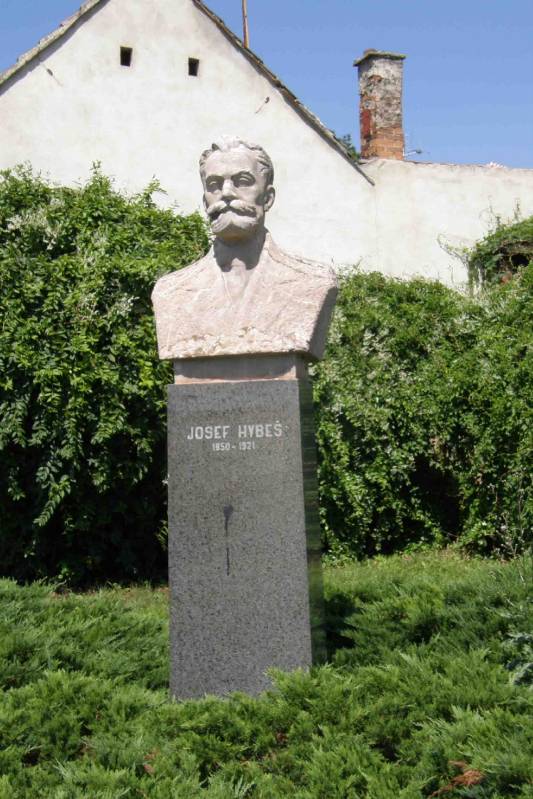 Náhled
