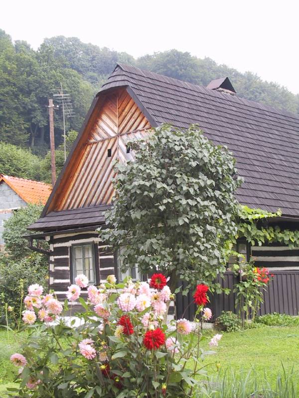 Náhled
