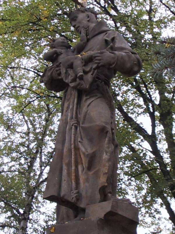 Náhled