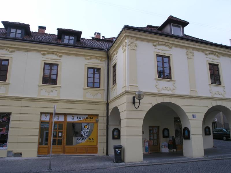 Náhled