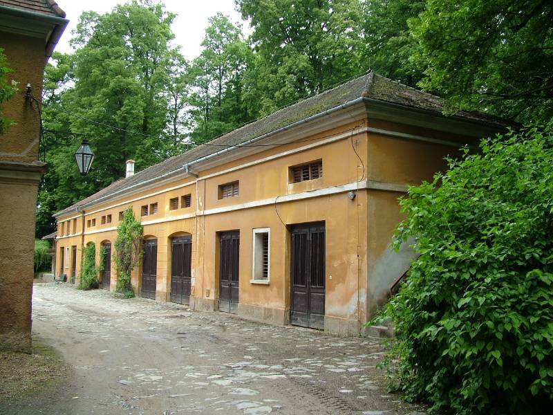 Náhled