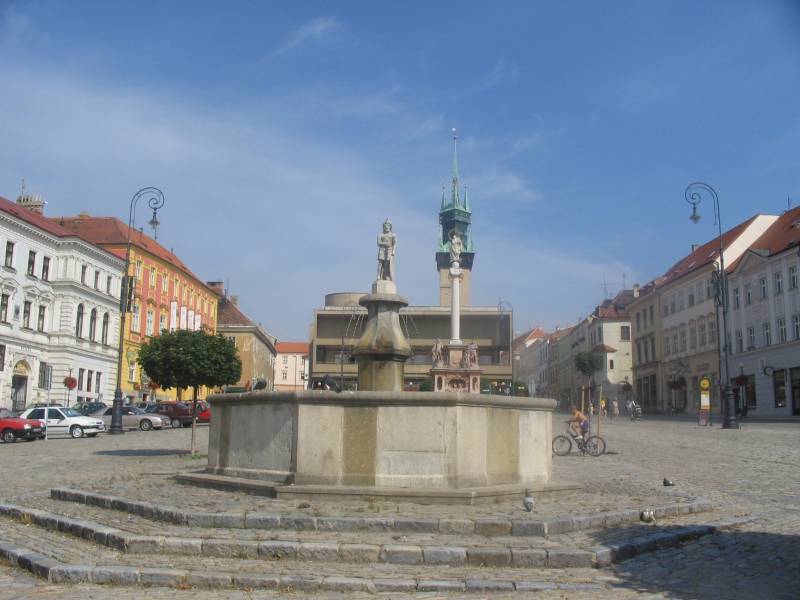 Náhled