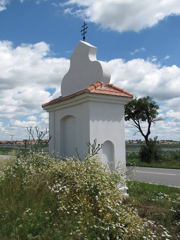 Náhled