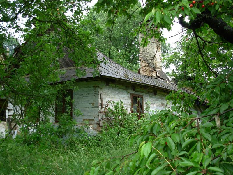 Náhled