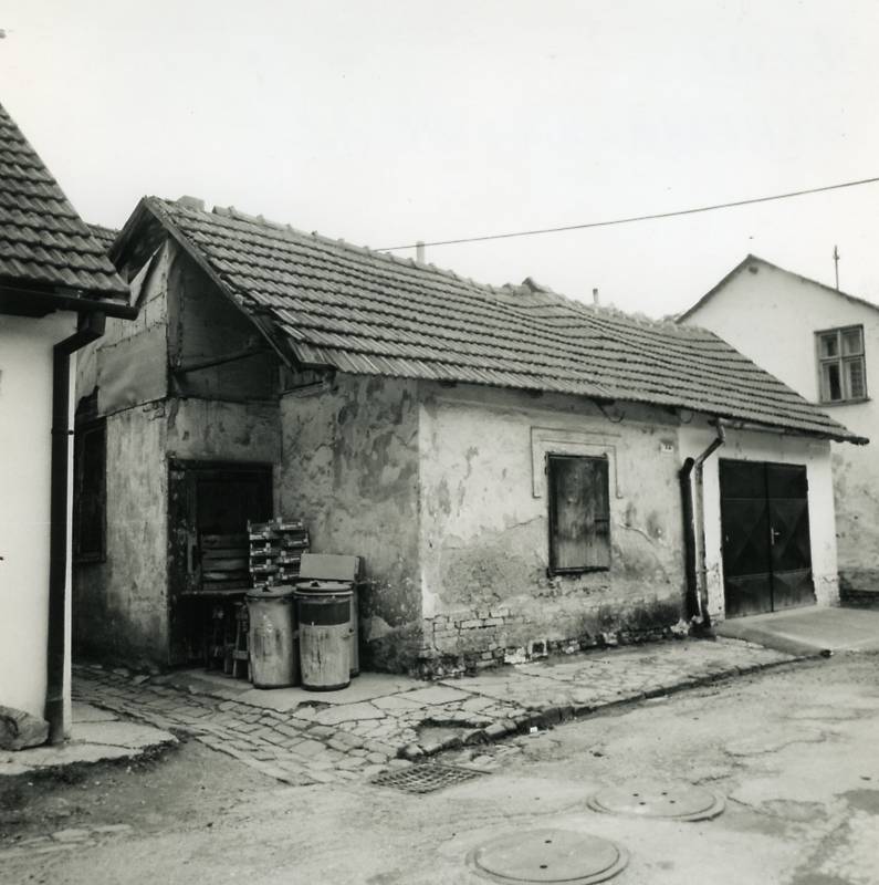 Náhled