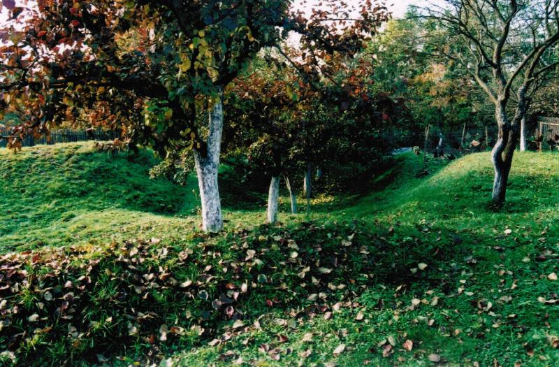 Náhled