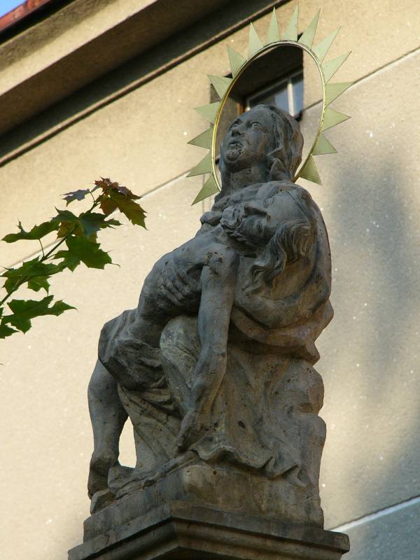 Náhled