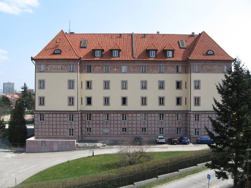 Náhled
