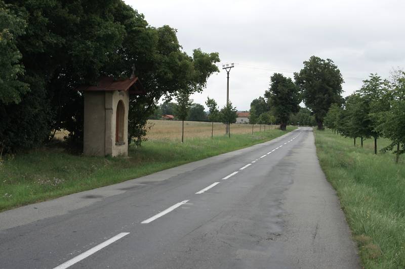Náhled