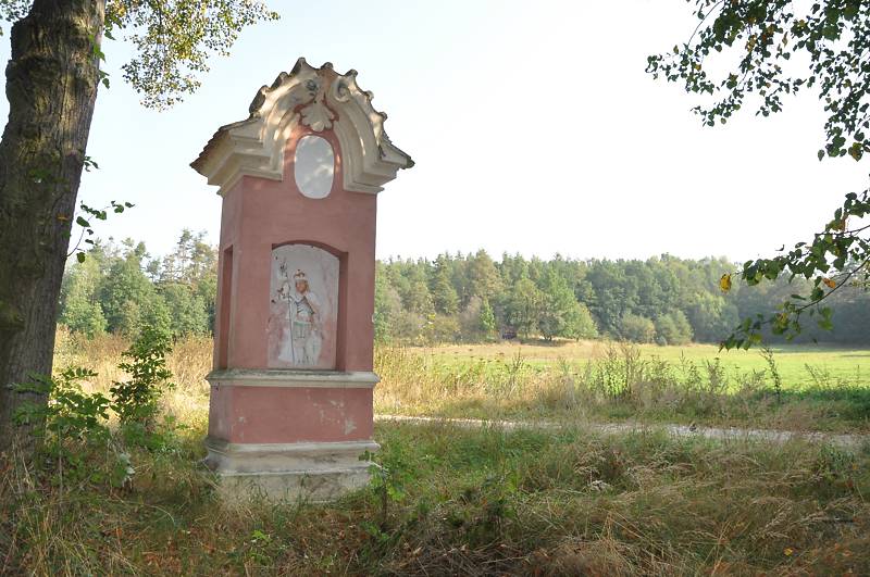 Náhled