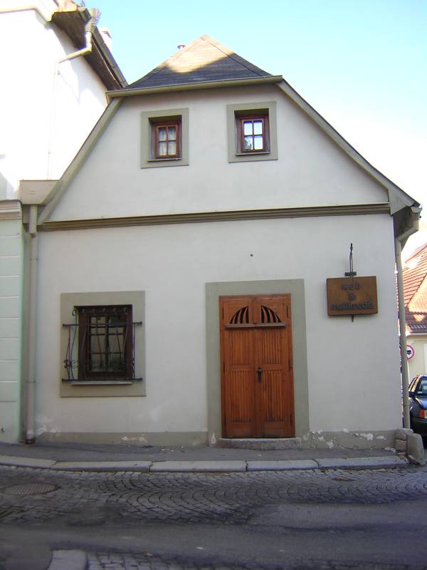 Náhled