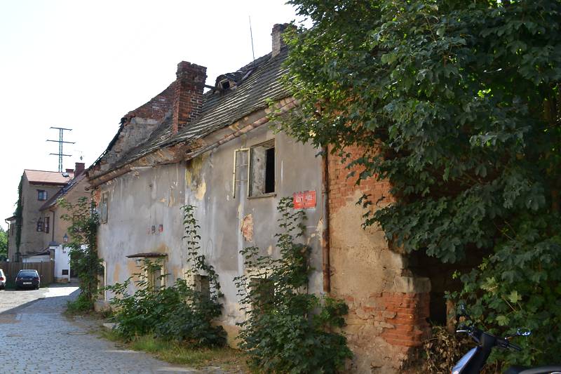 Náhled