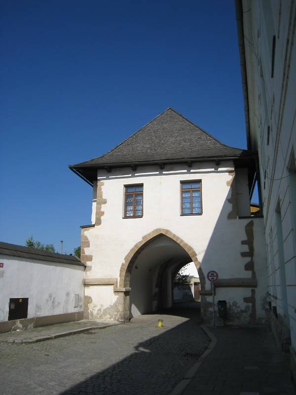 Náhled
