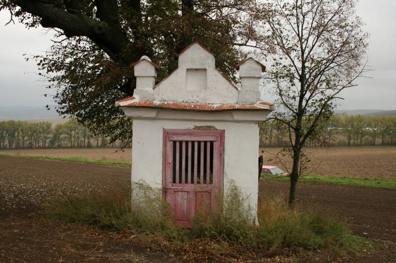Náhled