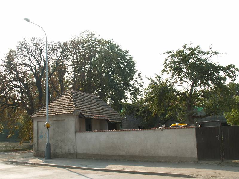 Náhled
