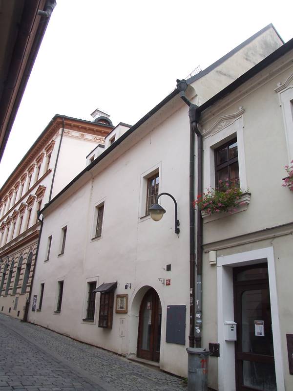 Náhled