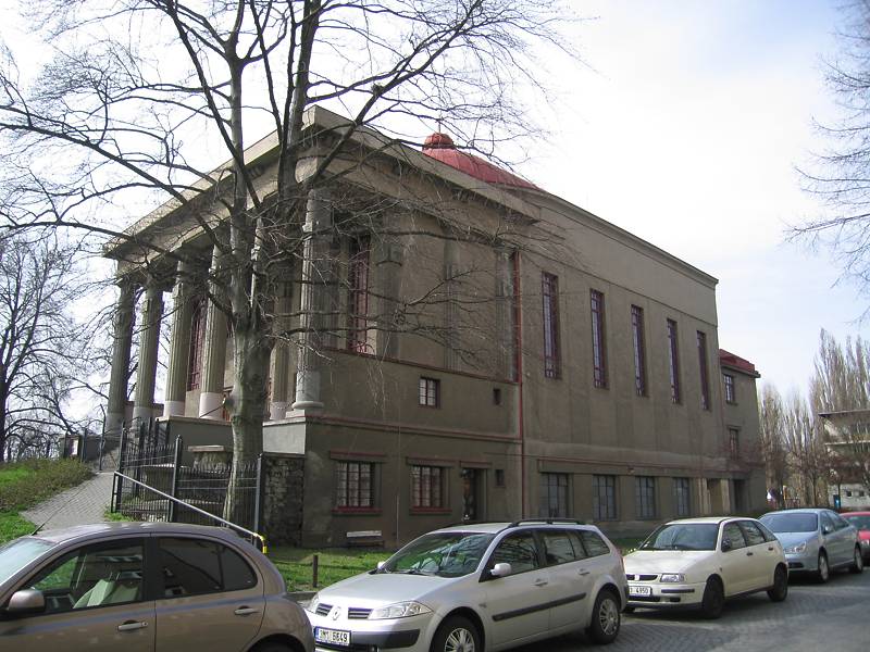 Náhled