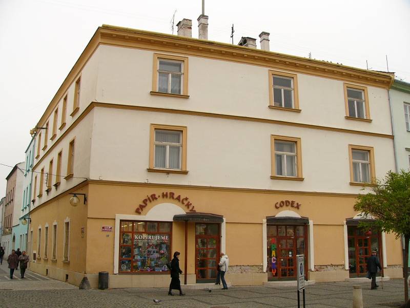 Náhled