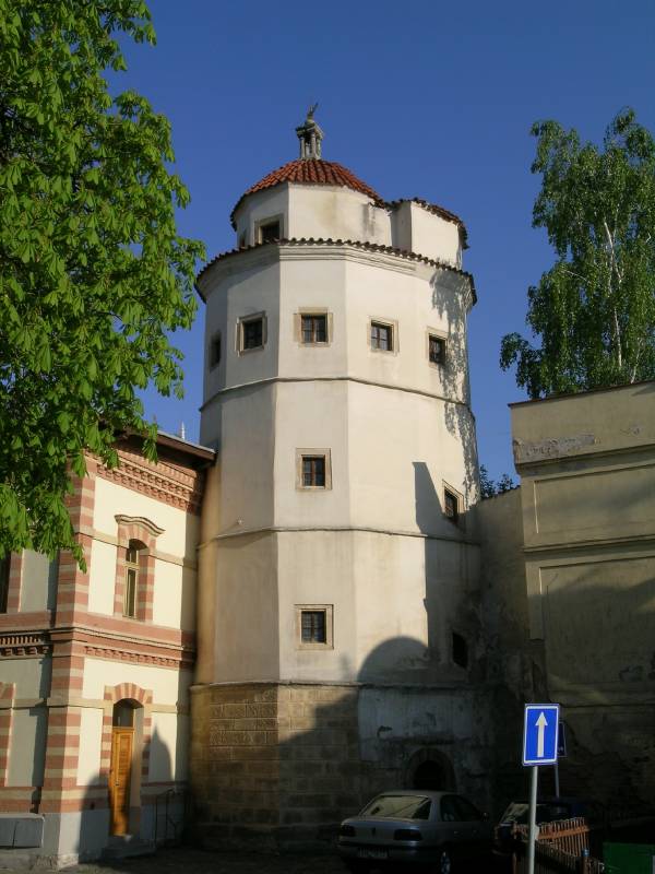 Náhled