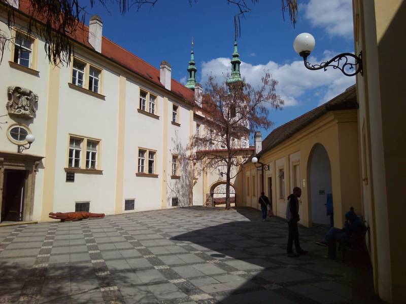 Náhled