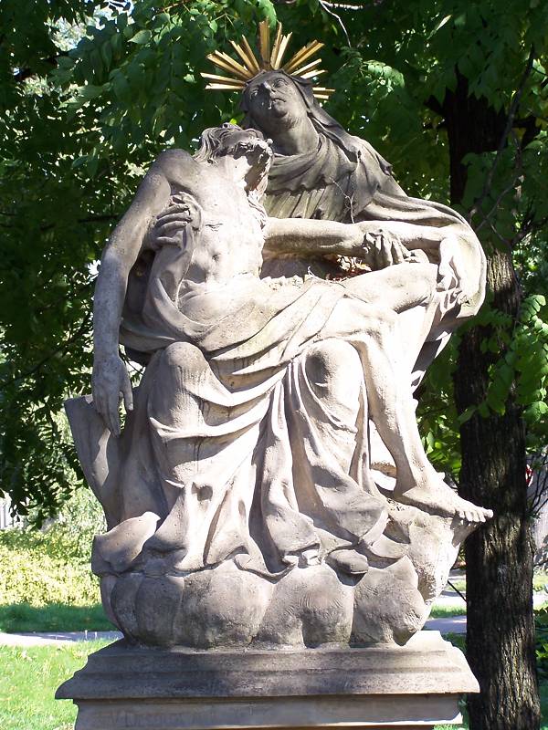 Náhled