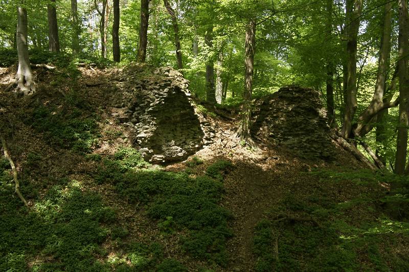 Náhled