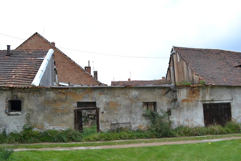 Náhled