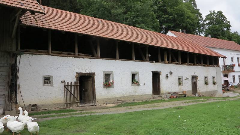 Náhled