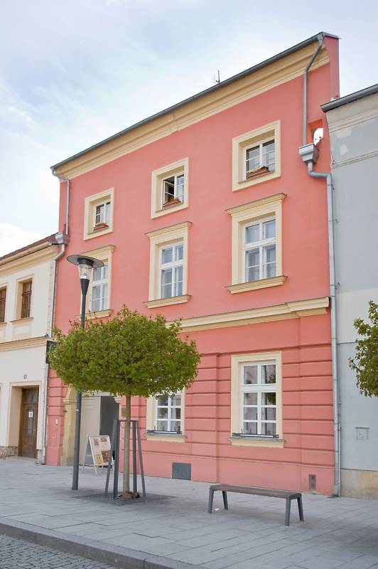 Náhled