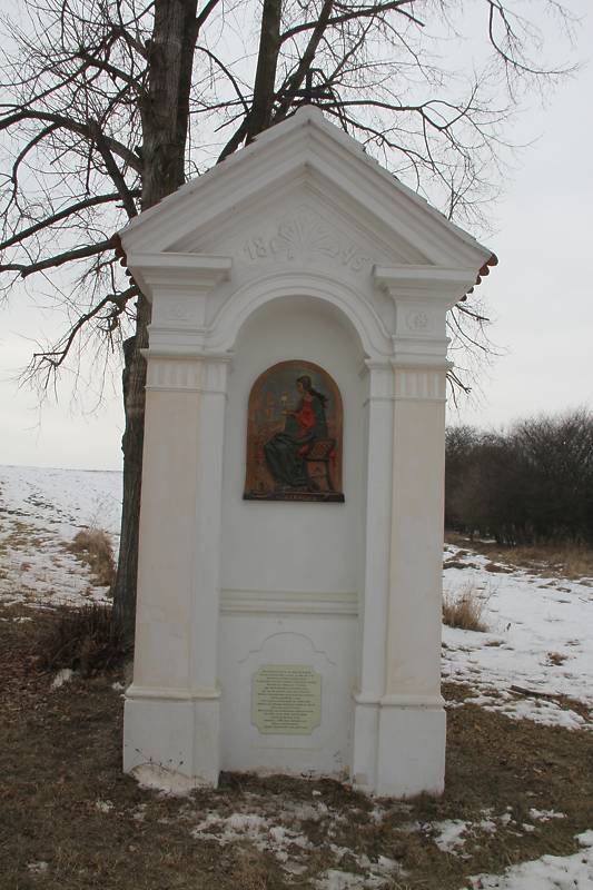 Náhled