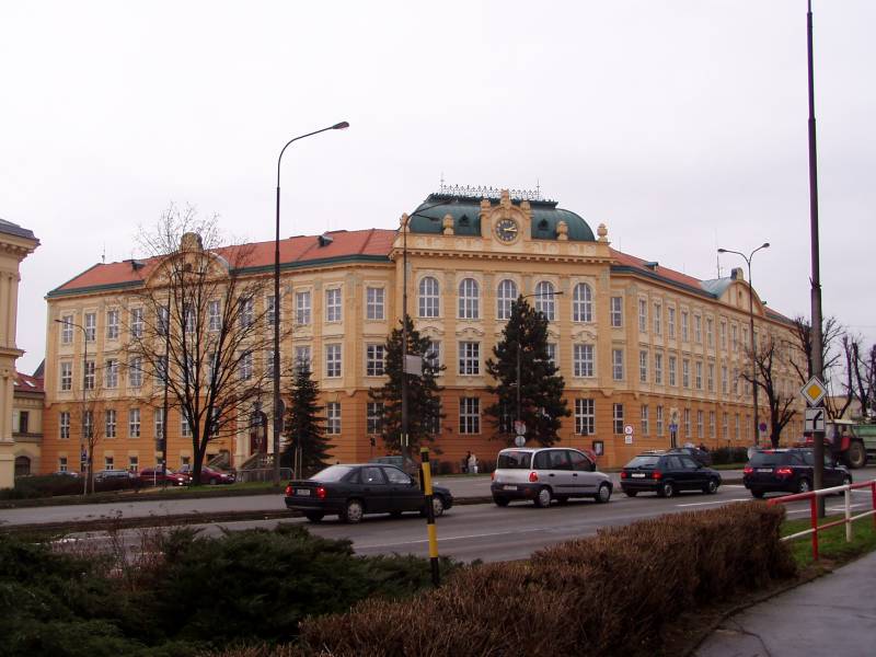 Náhled