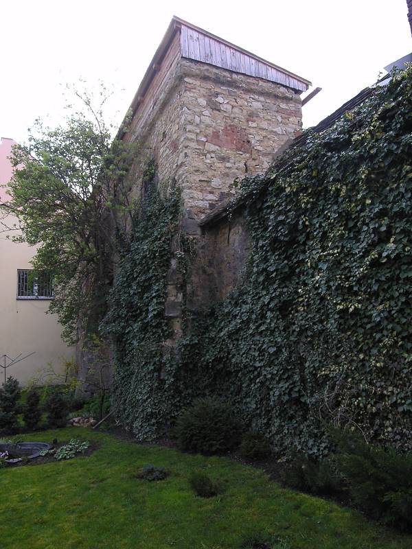 Náhled