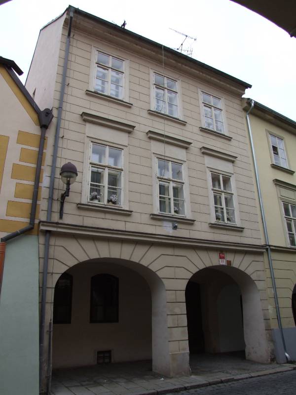 Náhled
