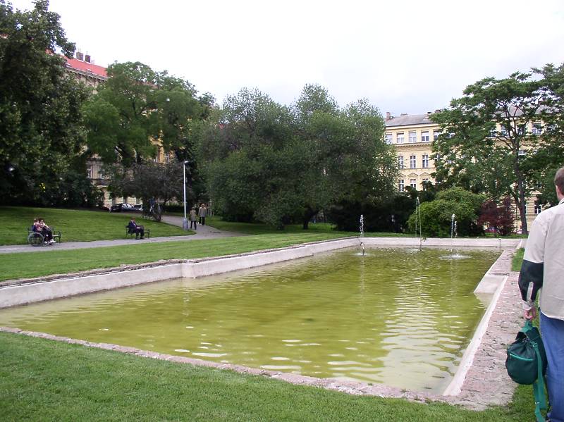 Náhled