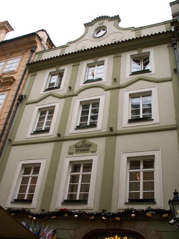 Náhled
