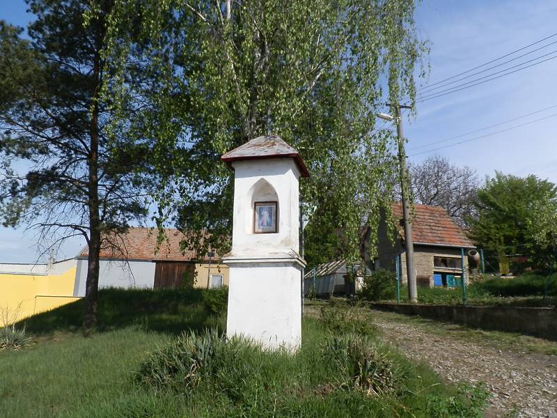 Náhled