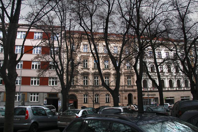 Náhled