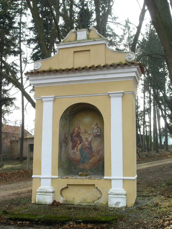 Náhled