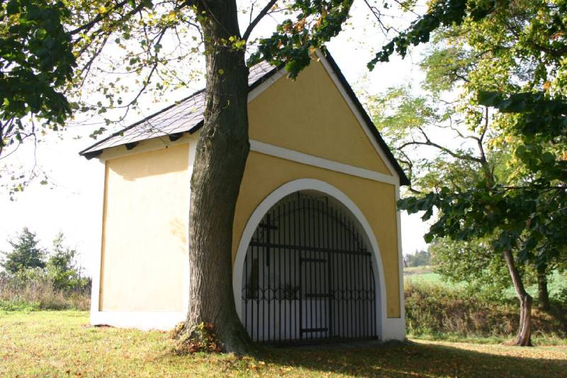 Náhled