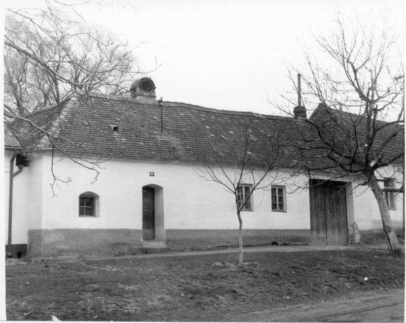 Náhled