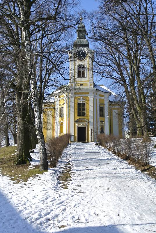 Náhled