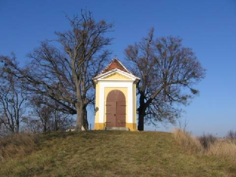Náhled