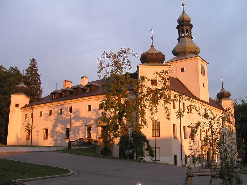 Náhled